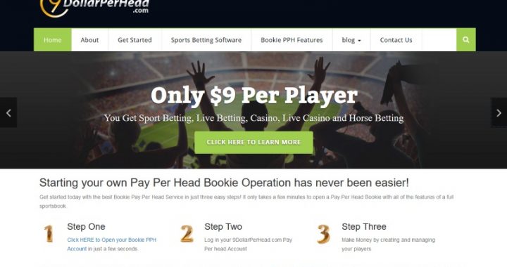 9DollarPerHead.com Bookie Pay Per Head Review