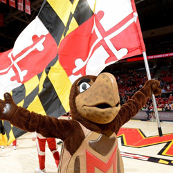 Lawmakers Continue to Discuss Maryland Sports Betting