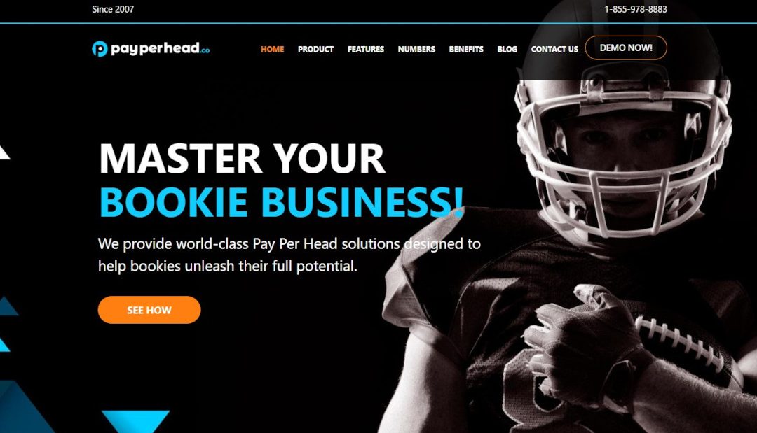 PayPerHead.co Bookie Pay Per Head Review